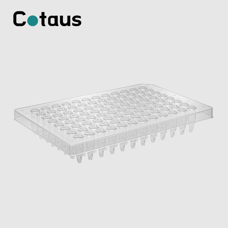 96 Well 0.2ml Trasparenti Nofs Falda PCR Plate