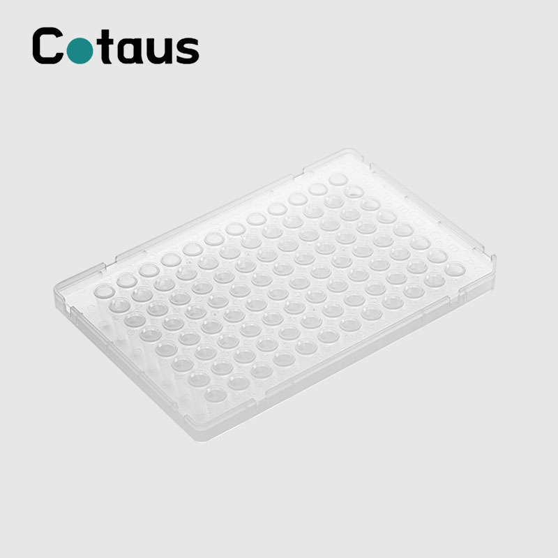 96 Well 0.1ml White Skirt Full PCR Plate