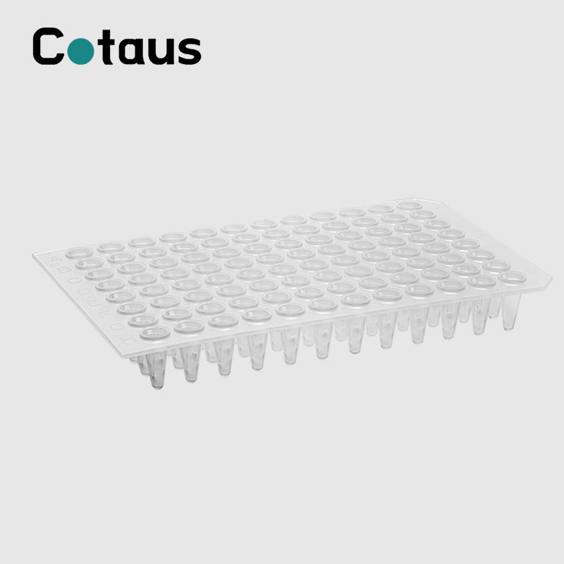 96 Well 0.2ml Trasparenti Nru Skirt PCR Plate